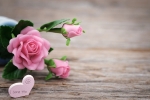 mothers day 2019, top 10 mother's day gift ideas, 8 ways to send love to your mom on mother s day even when you are away from home, Microwave