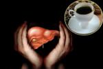 Heavy Drinkers, Coffee in protecting Livers, coffee consumption helps in protecting boozers livers, Coffee benefits