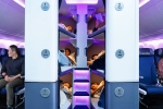 Air New Zealand, Air New Zealand Bunk Beds latest, air new zealand introduces bunk beds in economy flights, Animal Air New Zealand, Air New Zealand Bunk Beds latest, air new zealand introduces bunk beds in economy flights, Animal