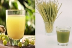 Amla Juice Vs Wheatgrass Juice health update, Amla Juice Vs Wheatgrass Juice, amla juice vs wheatgrass juice for fatty liver, Mea