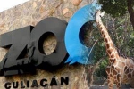 nurseries and aquariums, Mexico’s Association of Zoos, animals abandoned during coronavirus lockdown are rescued by a zoo in mexico, Mamma
