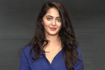 Rajamouli, Anushka new films, rrr to have a cameo of anushka, Anushka shetty Rajamouli, Anushka new films, rrr to have a cameo of anushka, Anushka shetty