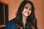Anushka new film, Anushka next movie, anushka back to shoot, Anushka shetty Anushka new film, Anushka next movie, anushka back to shoot, Anushka shetty