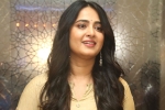 Mahesh P, Anushka upcoming movies, anushka s next project updates, Anushka shetty Mahesh P, Anushka upcoming movies, anushka s next project updates, Anushka shetty