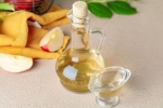 Apple Cider Vinegar tips, Apple Cider Vinegar latest, health benefits of apple cider vinegar, Kick 2