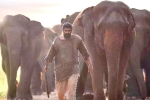 Aranya​ rating, Aranya​ movie story, aranya movie review rating story cast and crew, Ranya