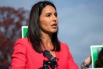 gabbard, tulsi gabbard age, being targeted for being a hindu claims tulsi gabbard, 2014 elections