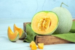 Muskmelon Seeds benefits, Muskmelon Seeds study, health benefits of muskmelon seeds, Muskmelon seeds