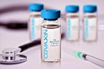 Bharat Biotech, Phase 3 trials, bharat biotech to begin phase 3 trials of covaxin in up from october, Saint