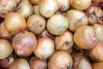 Black Fungus on Onions advise, Black Fungus on Onions bad, black fungus on onions sparks discussion, Twitter
