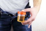 Hidden Kidney Cancer Risks breaking, Hidden Kidney Cancer Risks new updates, spotting blood in urine can reveal hidden kidney cancer risks, Sultan