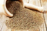 Chewing Ajwain for health, Chewing Ajwain, can chewing ajwain after dinner relieve acidity, Agent