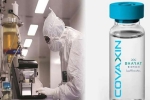 Coronavirus vaccine, Coronavirus vaccine, covaxin india s 1st covid 19 vaccine to get approval for human trials, H1n1