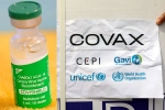 Covishield news, Covishield, sii to resume covishield supply to covax, Covax