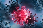 USA Coronavirus, USA Coronavirus, delta variant makes usa tensed again, Astrazeneca vaccine