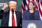 Donald Trump Vs Kamala Harris breaking, Donald Trump Vs Kamala Harris comments, donald trump calls kamala harris is married to a jewish man, Nominatio