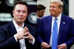 Elon Musk and Donald Trump spends, Elon Musk and Donald Trump campaign, elon musk s big bet on donald trump, Crypto