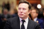 Elon Musk Epstein Files news, Elon Musk Epstein Files latest, elon musk named in new epstein files, Elon musk
