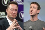 Elon Musk Vs Mark Zuckerberg breaking, Elon Musk Vs Mark Zuckerberg breaking news, elon musk vs mark zuckerberg rivalry, Cage fight