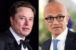 Elon Musk Vs Satya Nadella warning, Elon Musk Vs Satya Nadella updates, elon musk s warning to satya nadella after gpt 5 launch, Look