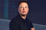 Elon Musk, Elon Musk, elon musk talks about cage fight again, Cage fight