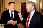 Elon Musk in USA, Donald Trump's Campaign news, elon musk donates for donald trump s campaign, Crypto