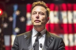 Donald Trump, Musk reply on social media, is elon musk in the trump cabinet, Donald trump and elon musk