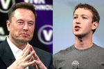 Elon Musk and Mark Zuckerberg breaking, Elon Musk and Mark Zuckerberg latest, elon vs zuckerberg mma fight ahead, Cage fight