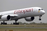 Shikha Garg, ethiopian airlines crash, ethiopian airlines crash four indians among 157 killed in flight crash, Undp