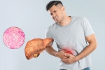 Fatty Liver symptoms, Fatty Liver symptoms, fatty liver can be reversed in just one month, Breathing exercise