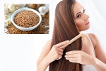 Flaxseeds breaking updates, Flaxseeds health benefits, how flaxseeds can help for a long and healthy hair, Recipe