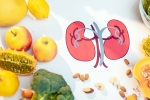 Improved Kidney Health breaking, Improved Kidney Health tips, seven foods for improved kidney health, Summer