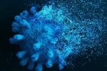 Gene Variant Coronavirus news, Gene Variant Coronavirus help, researchers identify gene variant that protects against coronavirus, Jennifer