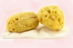 gynaecologist, sea sponge uses, gynecologist warns women against using sea sponges as reusable nurturing alternatives to tampons, Celine