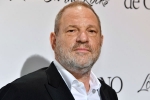 British Film Institute, British Film Institute, uk probe into harvey weinstein s sexual assaults widens with seven women, Westminster