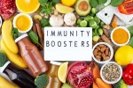 Immunity Tips for body, Immunity Tips science backed, interesting science backed tips to feel your best, Toronto