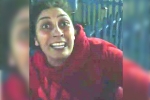 Luna Park, Indians in Australia, pregnant indian women racially abused in sydney, Luna park