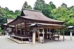 Japan Viral Mikami Shrine, Japan Viral Mikami Shrine, why are travellers flocking to japan s viral mikami shrine, Full