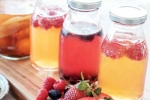 Kombucha and Fermented Foods health updates, Kombucha and Fermented Foods, health benefits of kombucha and fermented foods, Press