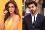 Kriti Sanon news, Kriti Sanon news, kriti sanon to romance vijay in his next, 1 nenokkadine