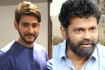 Mahesh Babu next, Mahesh Babu latest, mahesh babu shelves sukumar s project, 1 nenokkadine