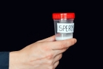 Men Sperm for Future Fertility Planning, Men Sperm for Future Fertility Planning breaking updates, should men preserve sperm for future fertility planning, Director