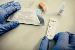 Antibodies tested on monkeys, Coronavirus, monkeys get protection against coronavirus through a prototype vaccine, The prototype hd