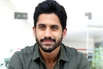 Naga Chaitanya interview, Naga Chaitanya upcoming projects, naga chaitanya coming up with a strong lineup of films, Naandhi