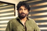 Nagarjuna Personal Rights breaking, Nagarjuna Personal Rights, delhi high on nagarjuna s personal rights, Kapoor