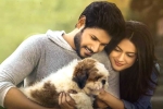 Ninu Veedani Needanu Nene movie review and rating, Ninu Veedani Needanu Nene movie review, ninu veedani needanu nene movie review rating story cast and crew, Hunting