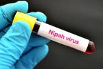 Nipah Virus death rate, Nipah Virus new case, nipah virus is back again two deaths registered, Nipah viru