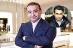 Nehal Deepak Modi, Nehal Deepak Modi allegation, nirav modi s brother arrested in usa, Loss
