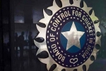 World Cup 2027 India Probables, BCCI, odi world cup 2027 probables decided by bcci, T20 world cup