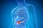 Pancreatic Cancer latest, Pancreatic Cancer health risk, how to protect yourself from pancreatic cancer, Pancreatic cancer